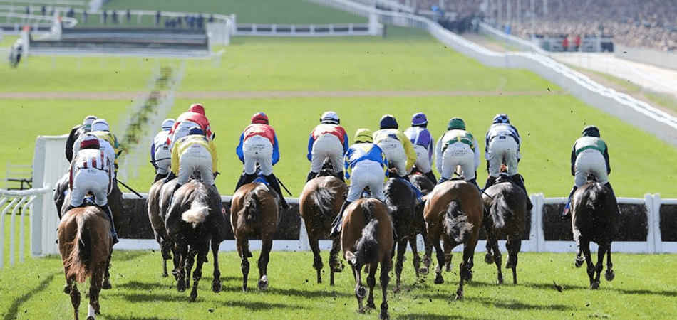 Online companies powered by Flutter generate $306 million in sales at Cheltenham Festival